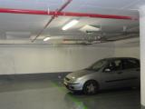 DSC00559.jpg